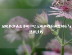 足彩多少钱去体彩中心足彩游戏的深度解析与选择技巧