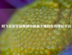阿飞足彩乐园揭秘中国最火爆的在线博彩平台