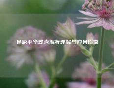 足彩平半球盘解析理解与应用指南