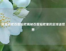 新足彩吧百度贴吧揭秘百度贴吧里的足球迷世界