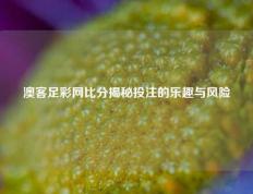 澳客足彩网比分揭秘投注的乐趣与风险
