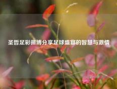 圣哲足彩微博分享足球盛宴的智慧与激情