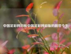中国足彩网旧板中国足彩网旧版的前世今生