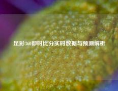足彩360即时比分实时数据与预测解析
