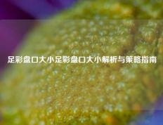 足彩盘口大小足彩盘口大小解析与策略指南