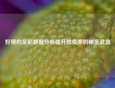 好用的足彩数据分析提升胜负率的秘密武器