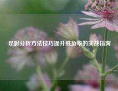 足彩分析方法技巧提升胜负率的实战指南