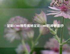 足彩17008推荐揭秘足彩17008的神秘面纱