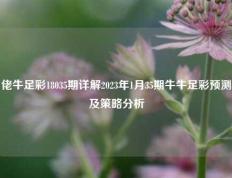 佬牛足彩18035期详解2023年1月35期牛牛足彩预测及策略分析