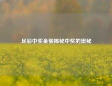 足彩中奖金额揭秘中奖的奥秘