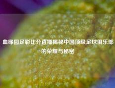血缘园足彩比分直播揭秘中国顶级足球俱乐部的荣耀与秘密