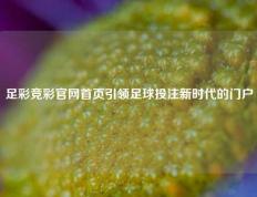 足彩竞彩官网首页引领足球投注新时代的门户