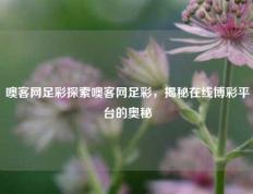 噢客网足彩探索噢客网足彩，揭秘在线博彩平台的奥秘