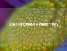足彩301推荐揭秘高手的策略与技巧