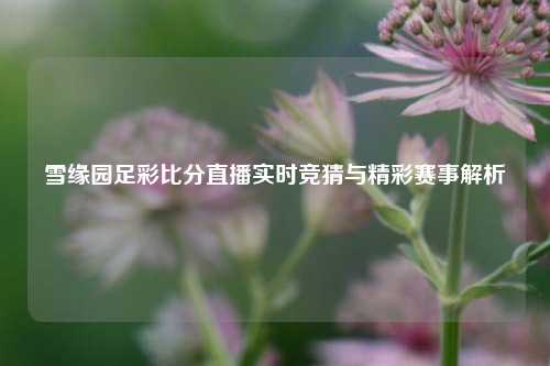 雪缘园足彩比分直播实时竞猜与精彩赛事解析