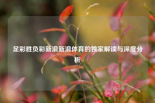 足彩胜负彩新浪新浪体育的独家解读与深度分析