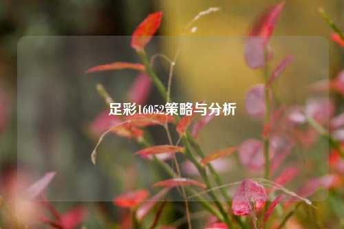 足彩16052策略与分析