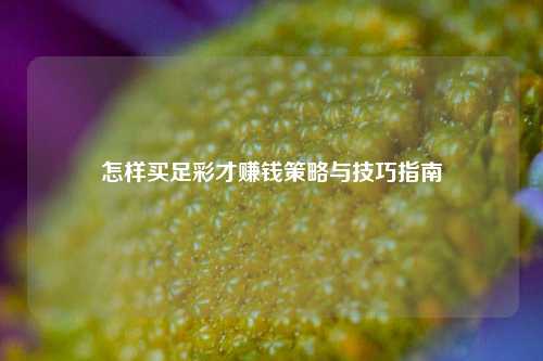 怎样买足彩才赚钱策略与技巧指南