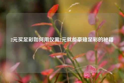 2元买足彩如何用仅需2元就能豪赌足彩的秘籍