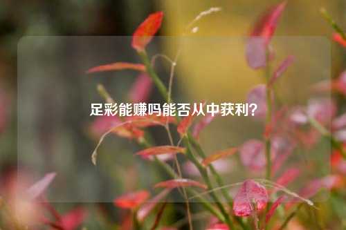 足彩能赚吗能否从中获利？