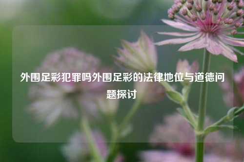 外围足彩犯罪吗外围足彩的法律地位与道德问题探讨