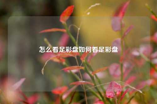 怎么看足彩盘如何看足彩盘