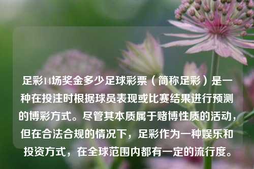 足彩14场奖金多少足球彩票（简称足彩）是一种在投注时根据球员表现或比赛结果进行预测的博彩方式。尽管其本质属于赌博性质的活动，但在合法合规的情况下，足彩作为一种娱乐和投资方式，在全球范围内都有一定的流行度。