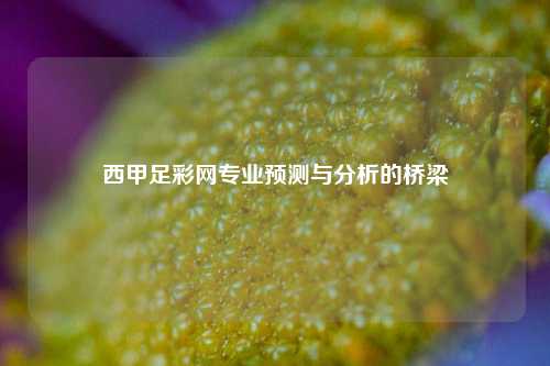 西甲足彩网专业预测与分析的桥梁