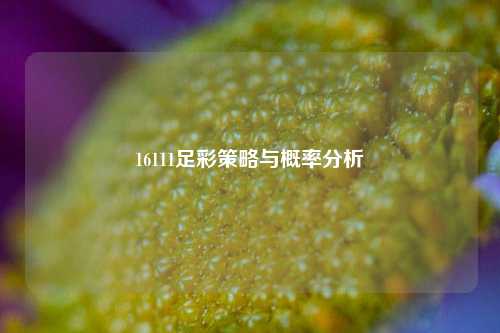 16111足彩策略与概率分析