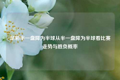 足彩半一盘降为半球从半一盘降为半球看比赛走势与胜负概率