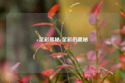 e足彩揭秘e足彩的奥秘