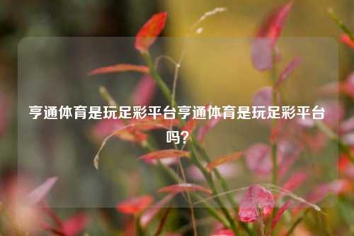 亨通体育是玩足彩平台亨通体育是玩足彩平台吗？