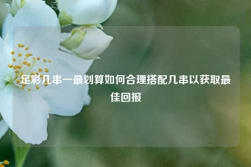 足彩几串一最划算如何合理搭配几串以获取最佳回报