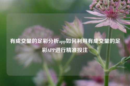 有成交量的足彩分析app如何利用有成交量的足彩APP进行精准投注