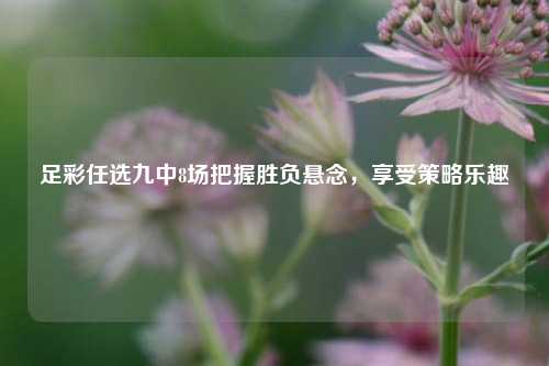 足彩任选九中8场把握胜负悬念，享受策略乐趣