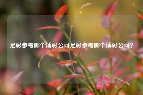 足彩参考哪个博彩公司足彩参考哪个博彩公司？