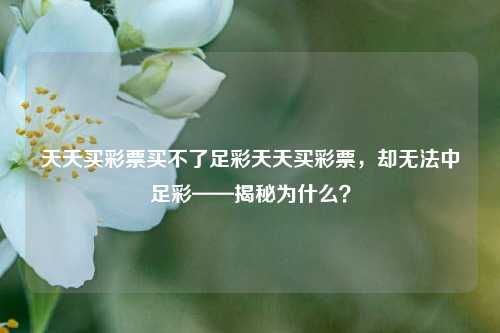 天天买彩票买不了足彩天天买彩票，却无法中足彩——揭秘为什么？