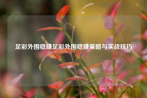 足彩外围稳赚足彩外围稳赚策略与实战技巧
