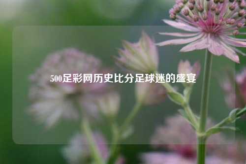 500足彩网历史比分足球迷的盛宴