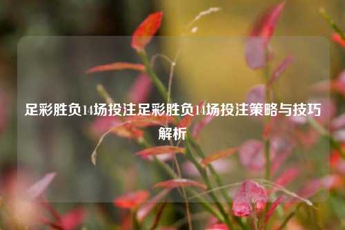 足彩胜负14场投注足彩胜负14场投注策略与技巧解析