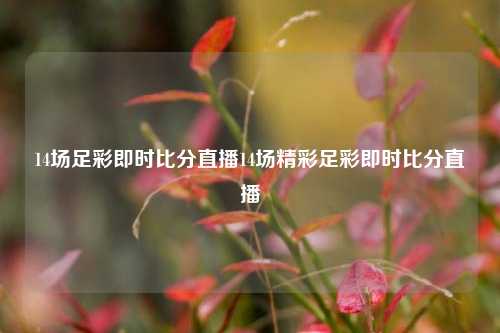 14场足彩即时比分直播14场精彩足彩即时比分直播