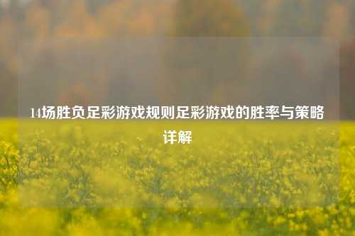 14场胜负足彩游戏规则足彩游戏的胜率与策略详解