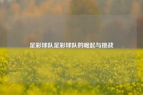 足彩球队足彩球队的崛起与挑战
