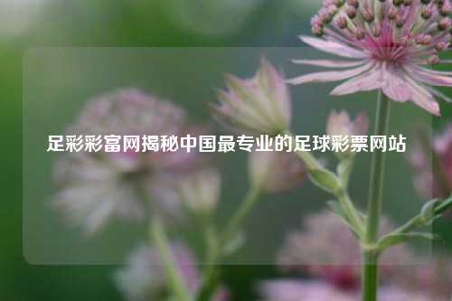 足彩彩富网揭秘中国最专业的足球彩票网站