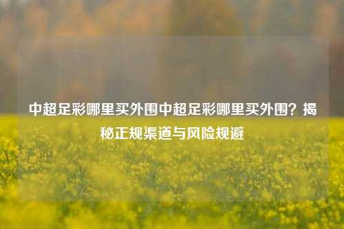 中超足彩哪里买外围中超足彩哪里买外围？揭秘正规渠道与风险规避