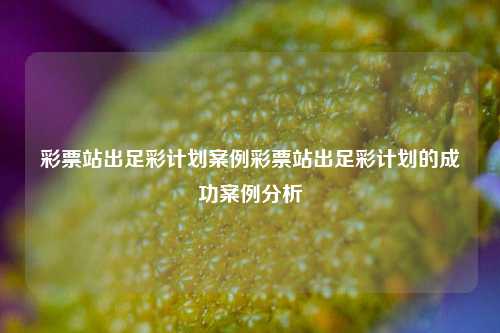 彩票站出足彩计划案例彩票站出足彩计划的成功案例分析