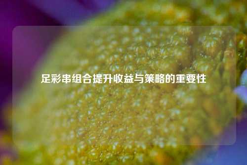 足彩串组合提升收益与策略的重要性