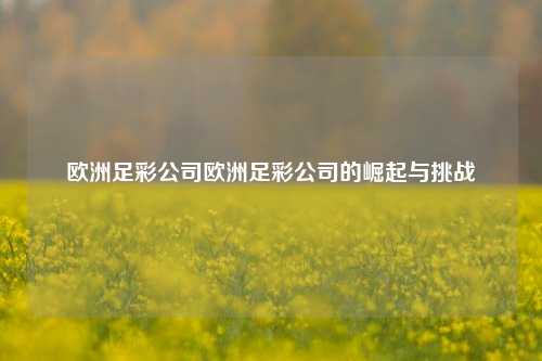 欧洲足彩公司欧洲足彩公司的崛起与挑战