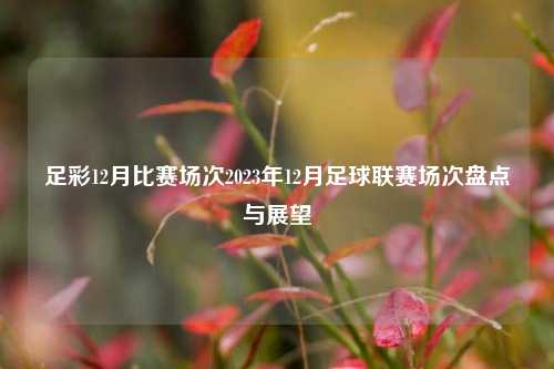 足彩12月比赛场次2023年12月足球联赛场次盘点与展望