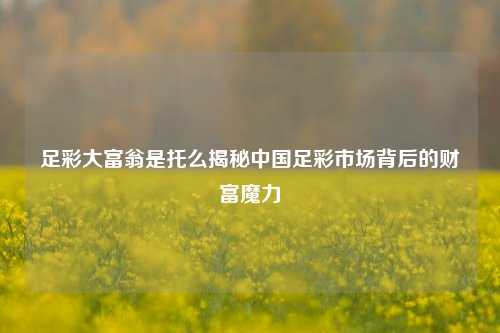 足彩大富翁是托么揭秘中国足彩市场背后的财富魔力
